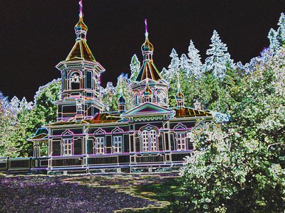 Magic Forest, 2017 by Alex Caminker